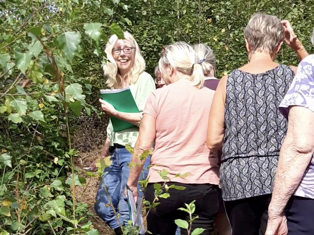 Örtkurs för nybörjare 18 augusti 2024